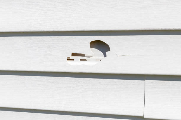 Trusted Burgin, KY Siding Installation Experts