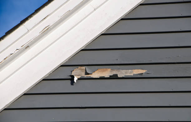 Best Siding Removal and Disposal  in Burgin, KY